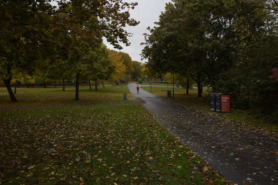 A park scene during overcast weather, featuring a paved pathway winding through a green space lined with mature deciduous trees exhibiting autumnal foliage. Fallen leaves are scattered across the gras