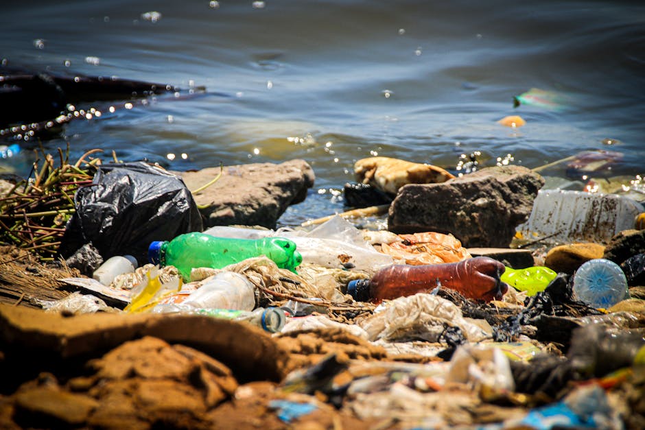 A person's arm is extended into the frame, holding a green and blue tied plastic garbage bag. The bag appears to be filled with rubbish and is held by the top knot of the bag, which is twisted and gat