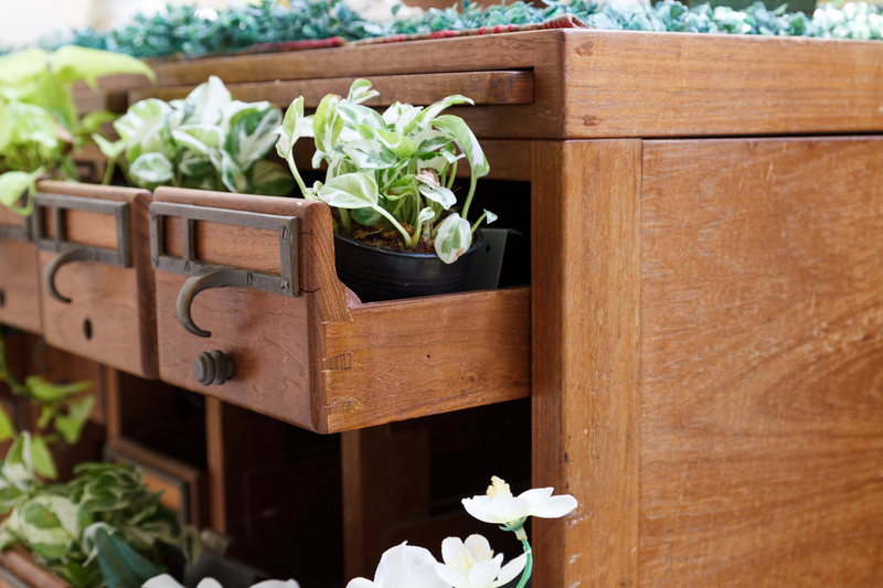 Smart and Easy Ways to Upgrade Your Home's Eco-Friendliness
